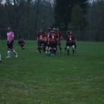 Segerjubel på planen