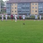 Fåglarna trivdes bra på Brunnsvallens blöta plan